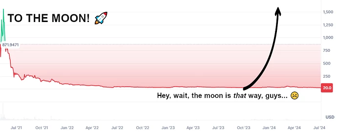 to-the-chia-moon