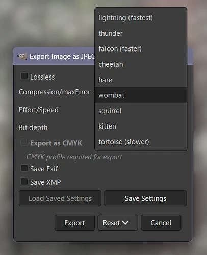JPEG-XL options