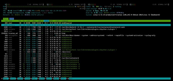 20251220 - htop view