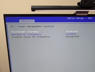I set the GPU to the lower frequency possible, so it does not use more energy than required (PSA: I don't use any GPU in TrueNAS, if you use it for transcoding, better keep this one default)