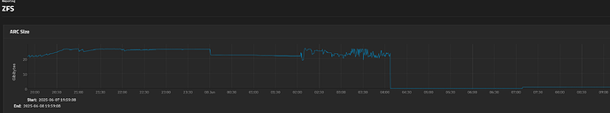 6.8.25 zfs report