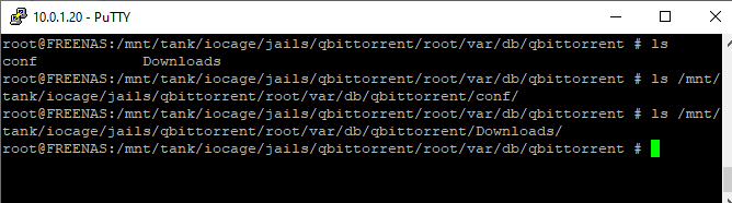 qbittorrent root config folder putty