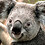 Unsub88_unsub